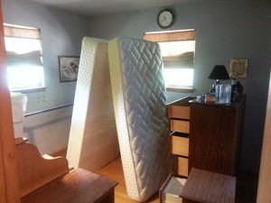 Bed Bug ready room